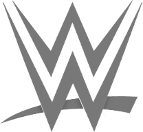 World Wrestling Entertainment World Wrestling Entertainment